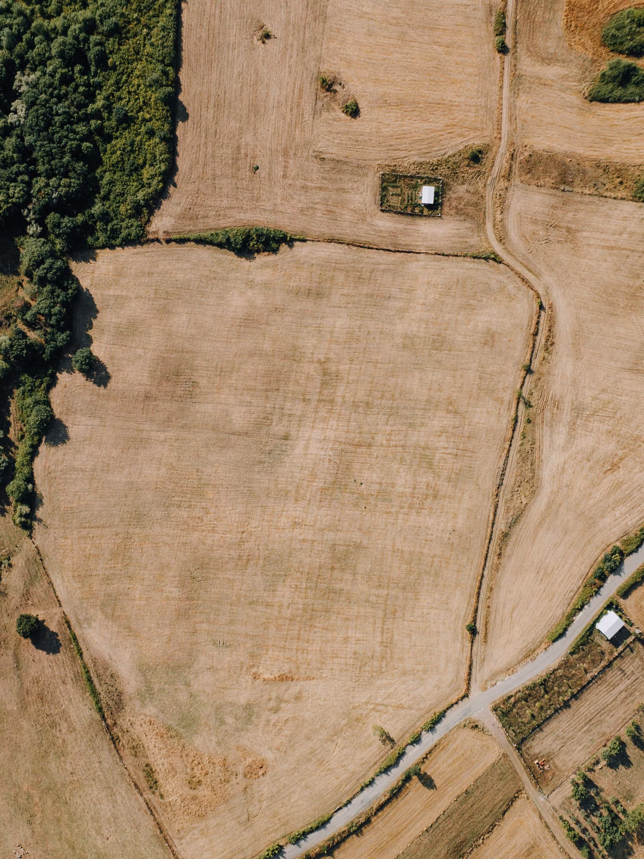 Land